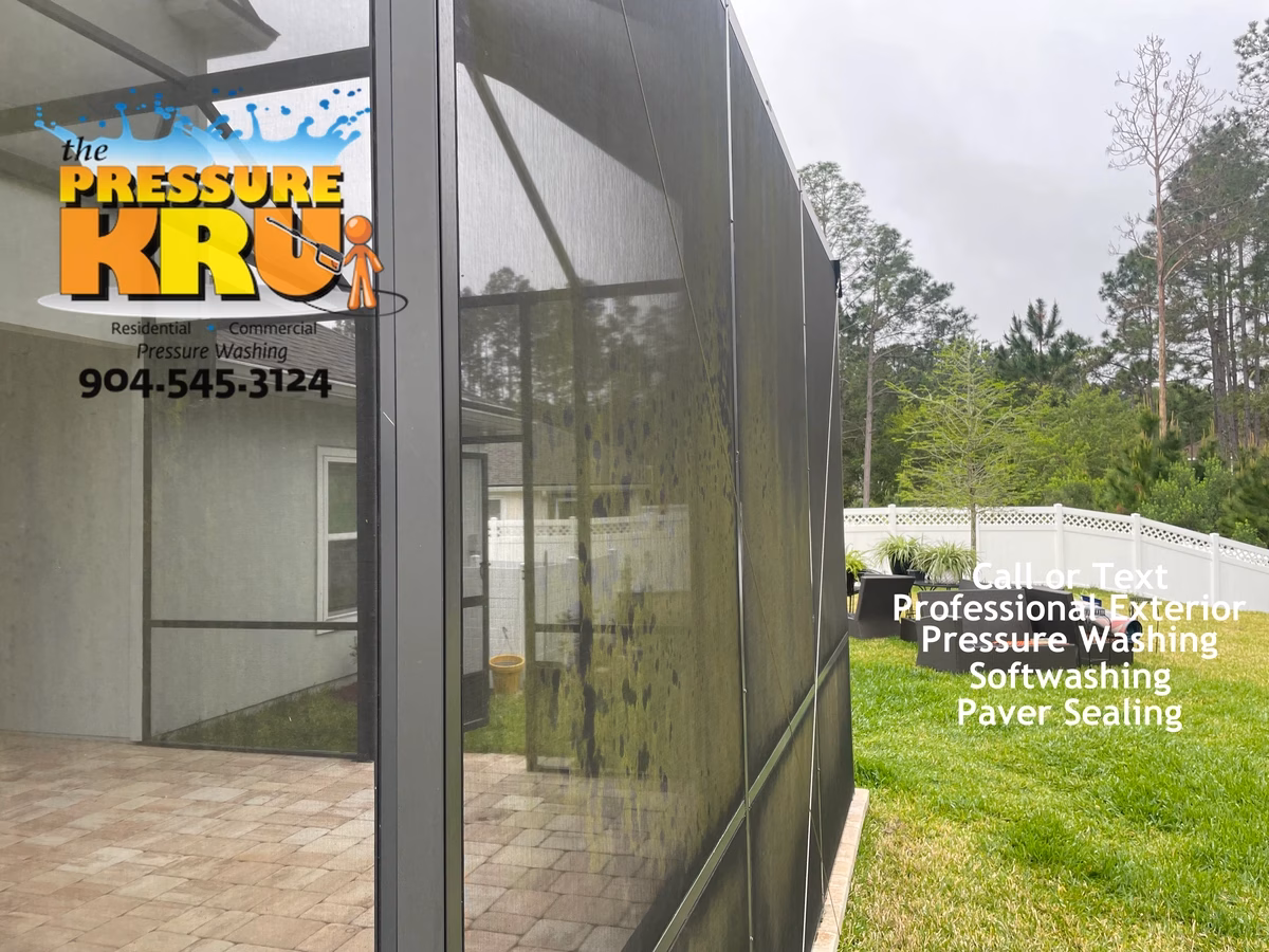 Screen enclosure before soft washing in St. Johns, FL.