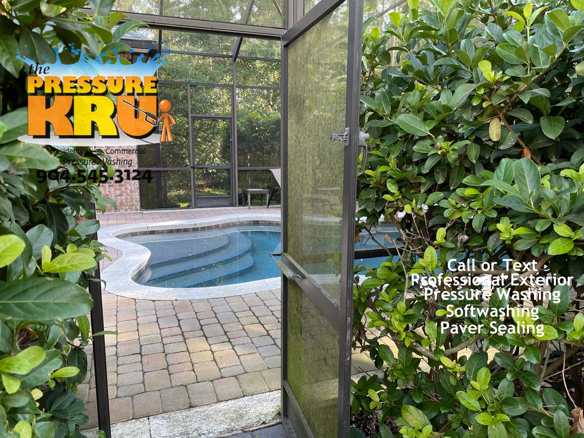 Screen Enclosure before low-pressure soft washing in Ponte Vedra, FL