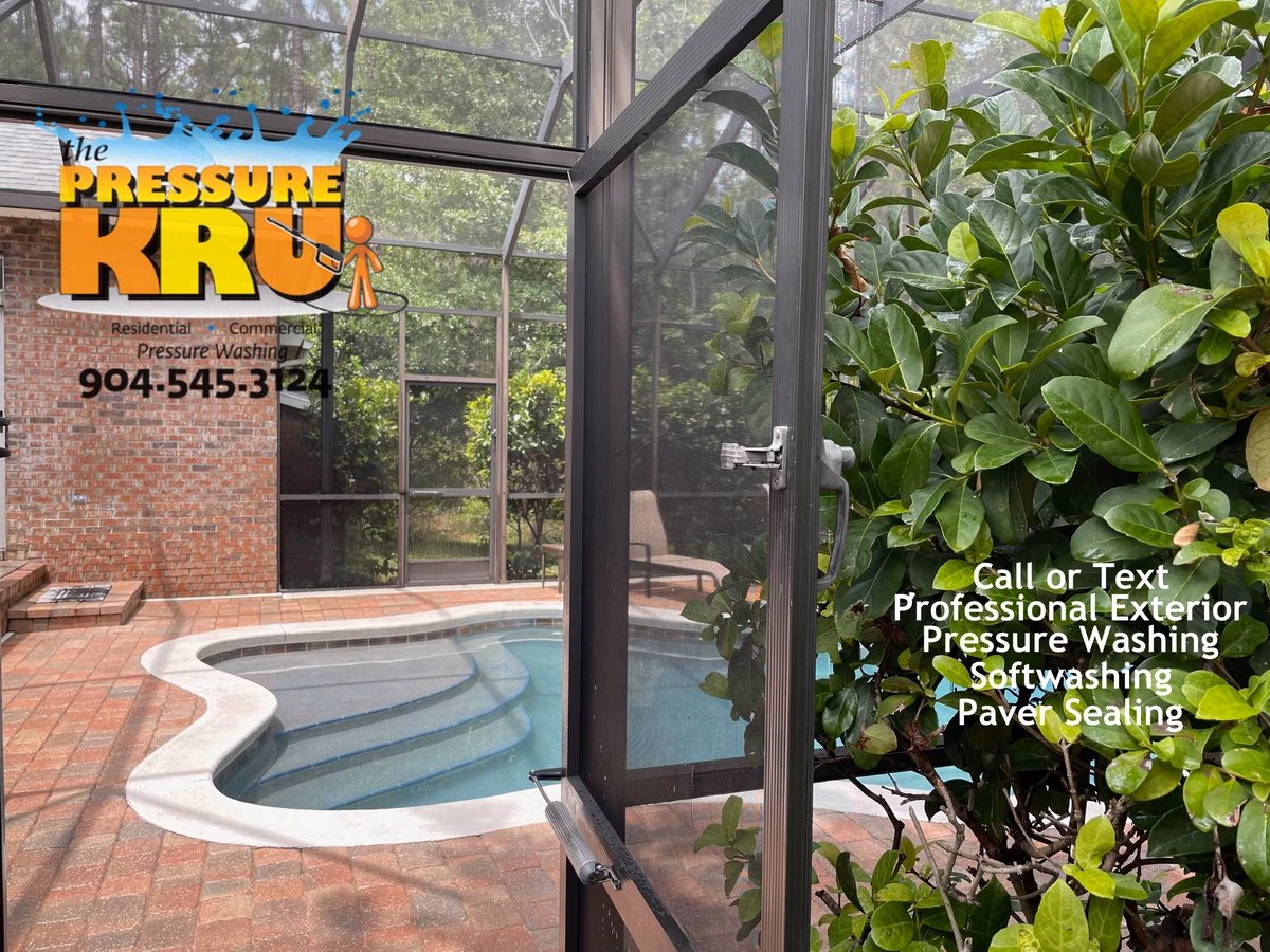 Screen Enclosure after low-pressure soft washing in Ponte Vedra, FL