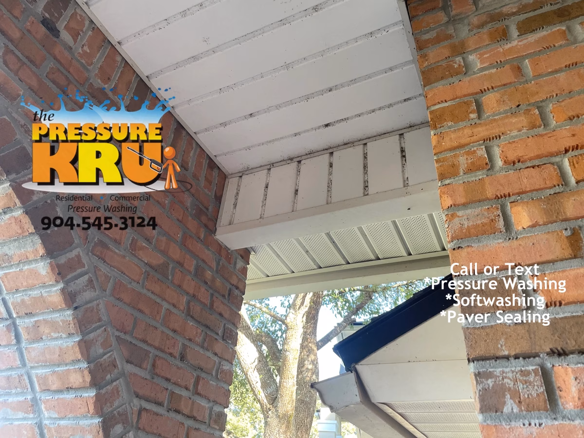 Brick exterior before cleaning on a home in Ponte Vedra Beach FL using a professional soft washing process.