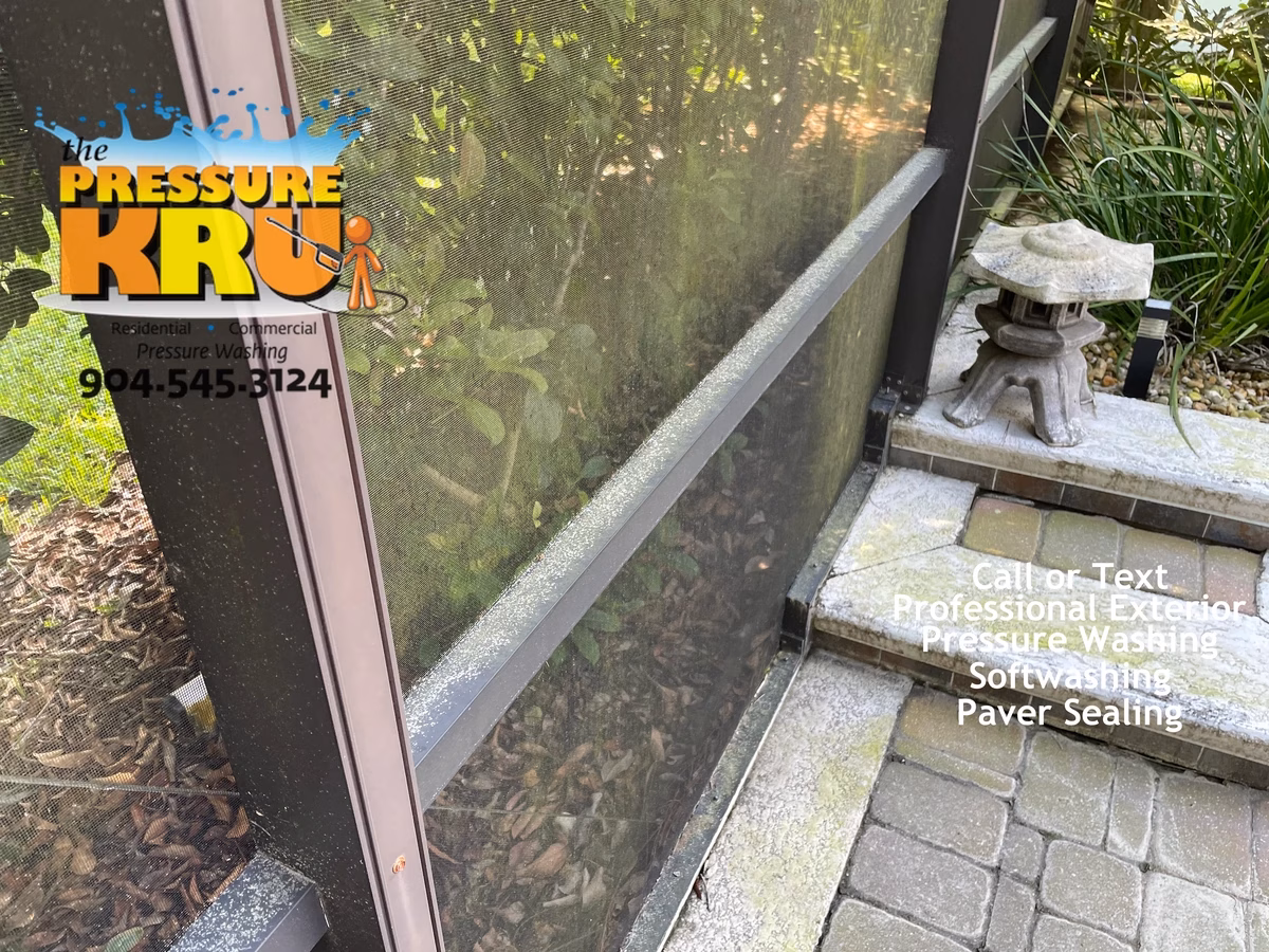Pool Cage before professional soft washing in Ponte Vedra, FL.