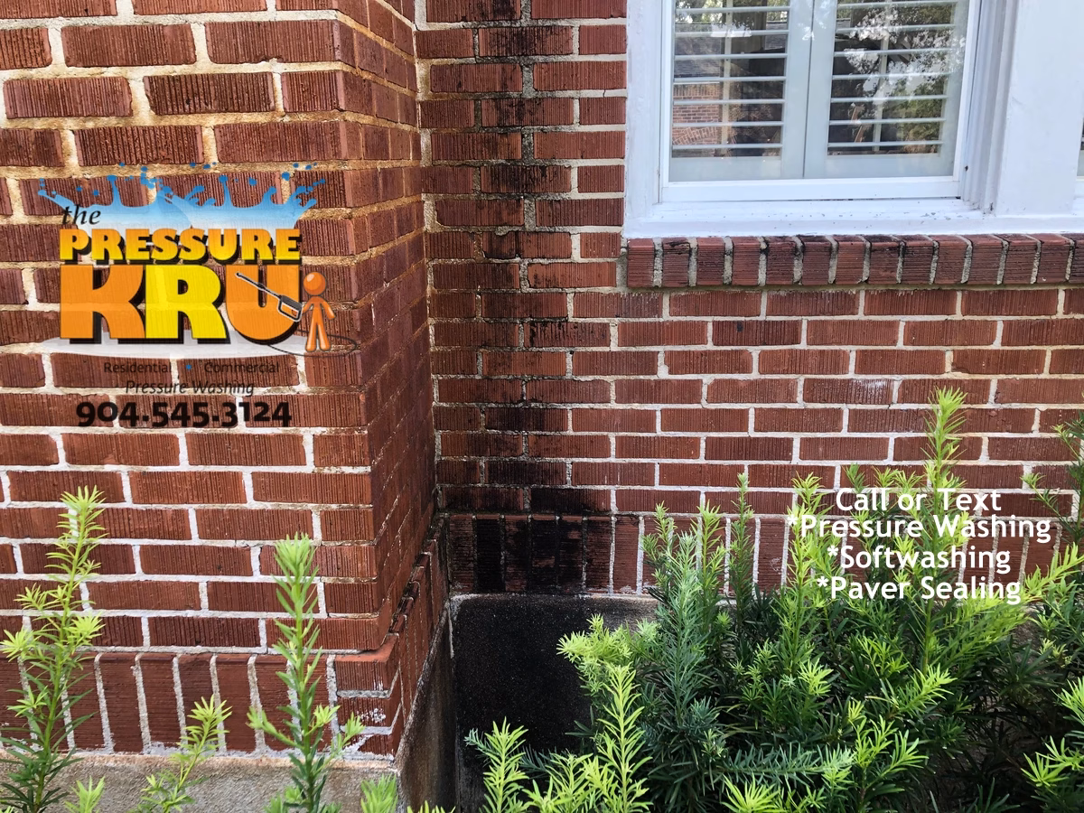 Before cleaning brick home in St Johns FL with concentrated black mold staining