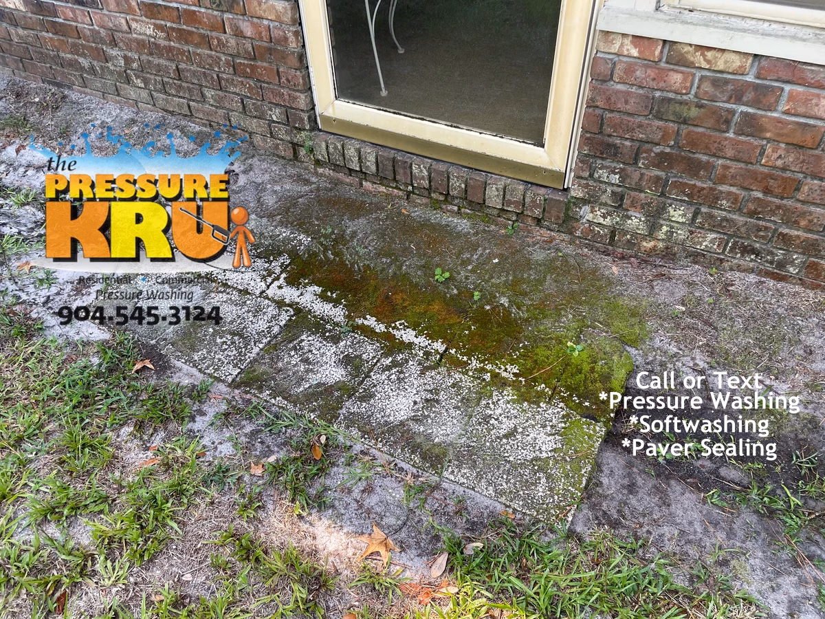 Brick home before exterior soft washing in St Augustine FL showing massive organic growth