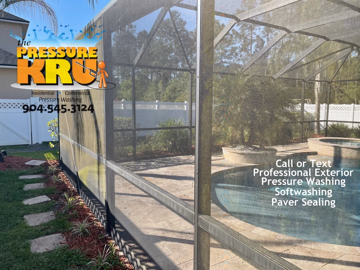 Screen enclosure before low-pressure soft washing in Fruit Cove, FL