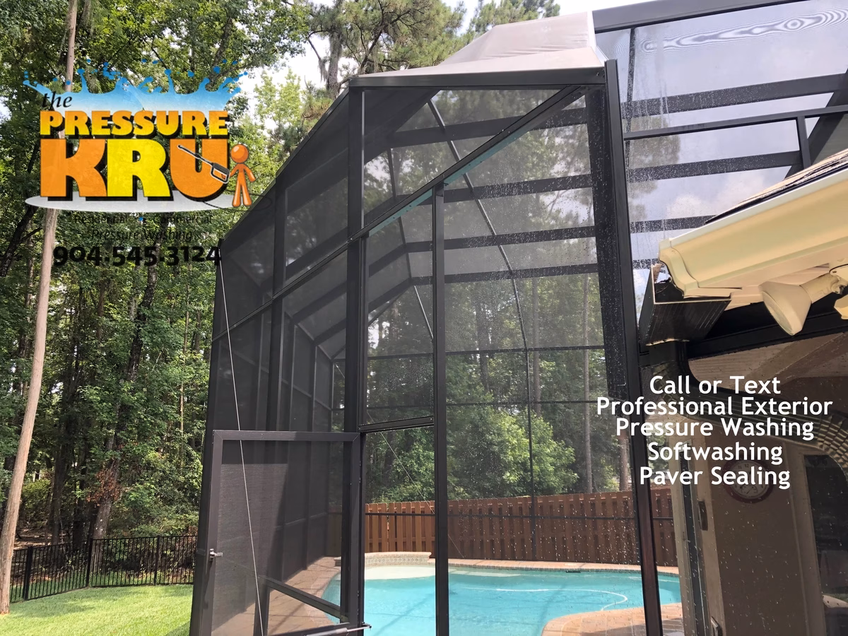 Pool cage after professional soft washing in St. Johns, FL