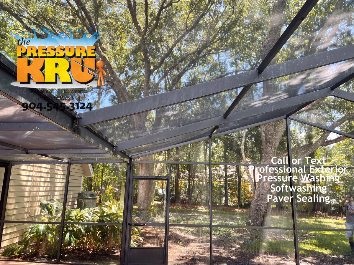 Screen enclosure after exterior soft washing in St. Johns, FL.