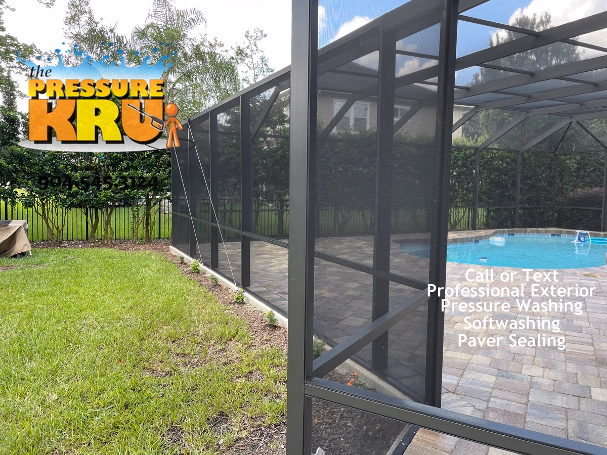 Pool Screen enclosure after soft washing in St. Johns, FL.