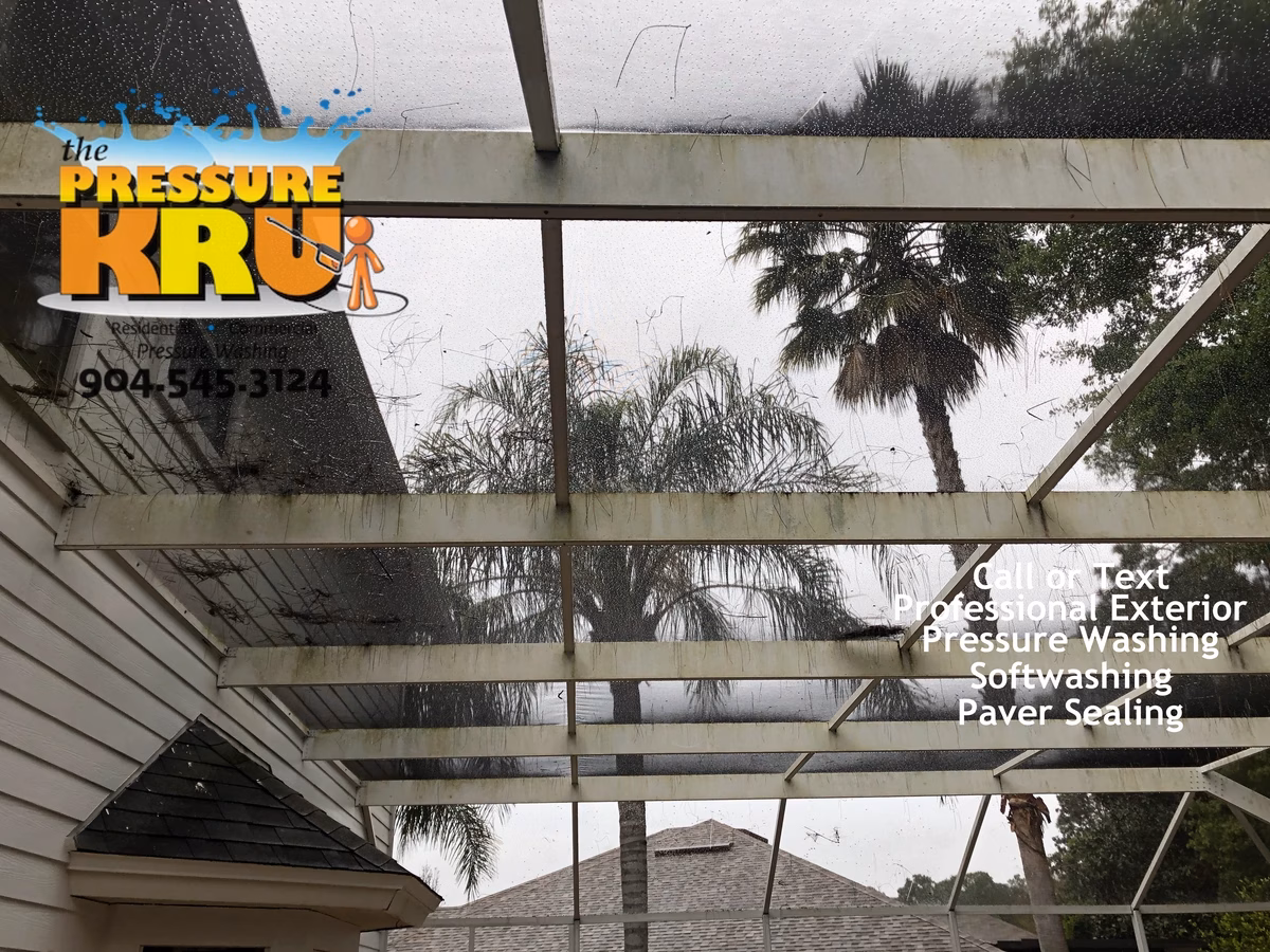 Screen Enclosure before soft washing in St. Augustine, FL 32092