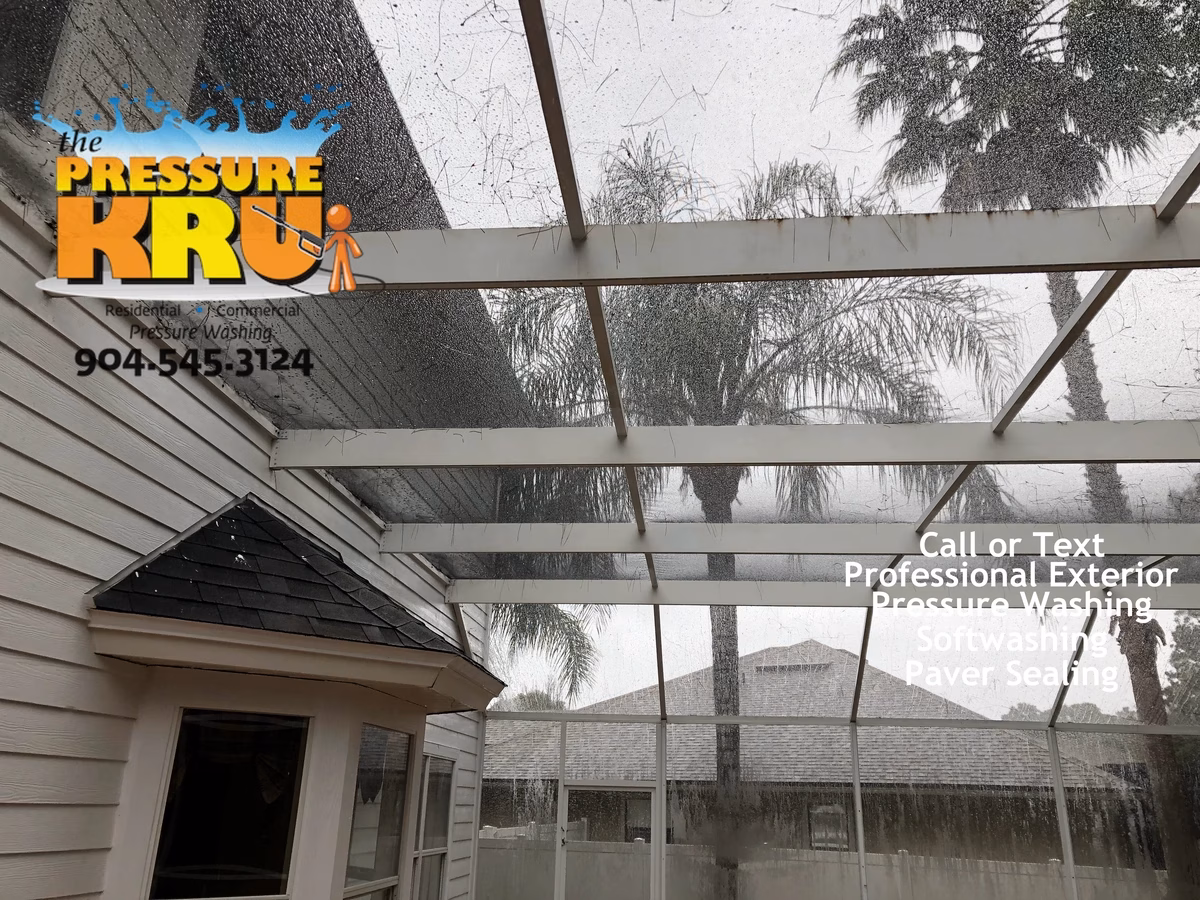 Screen Enclosure after soft washing in St. Augustine, FL 32092