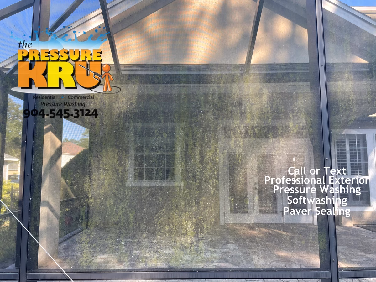 Before photo of a pool screen enclosure cleaning project in St. Johns Golf & Country Club.