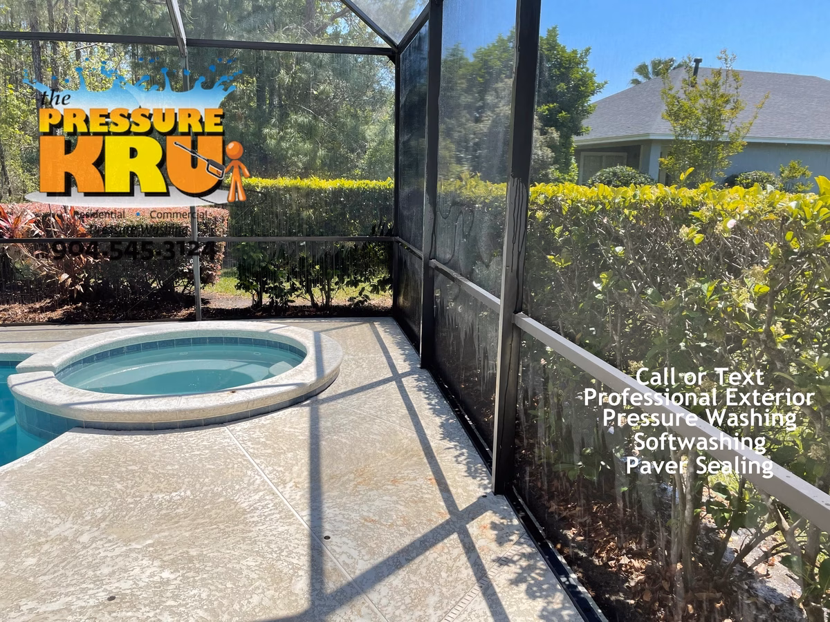 Pool Screen Enclosure After Professional Soft Washing in South Hampton.