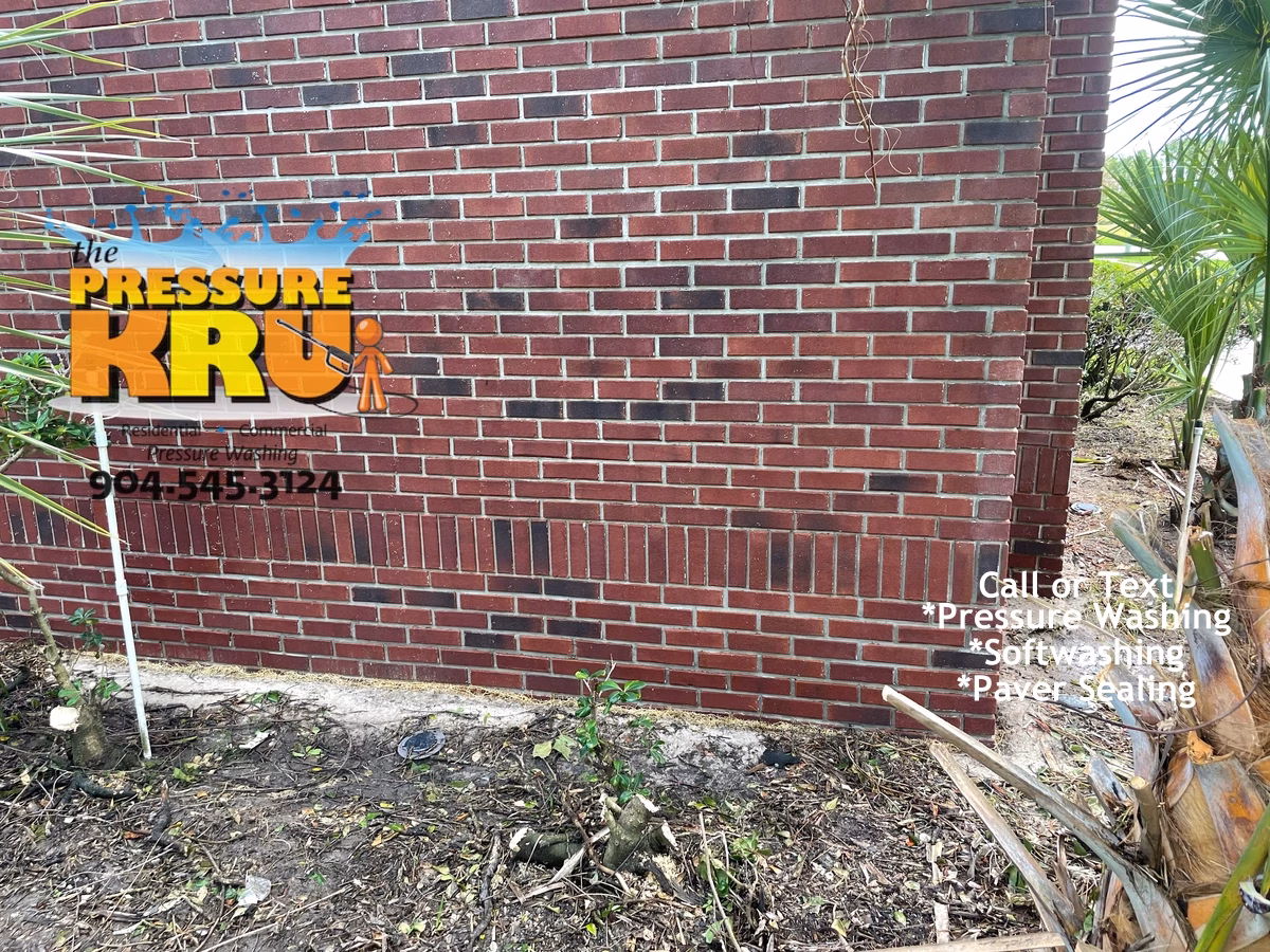 Brick home after exterior soft washing in St Johns FL with bright clean brick