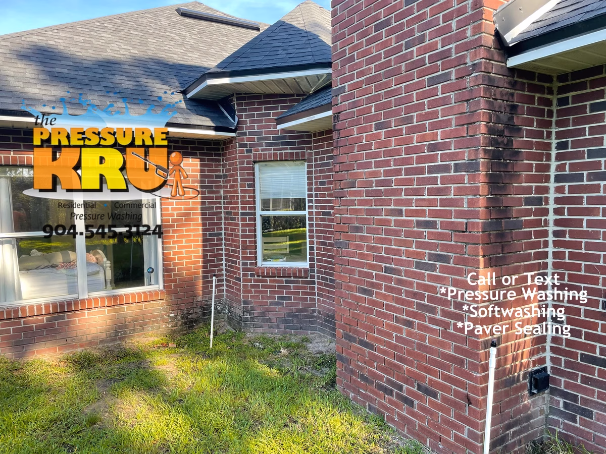 Before brick house cleaning in Saint Johns FL with black mold and green algae on brick