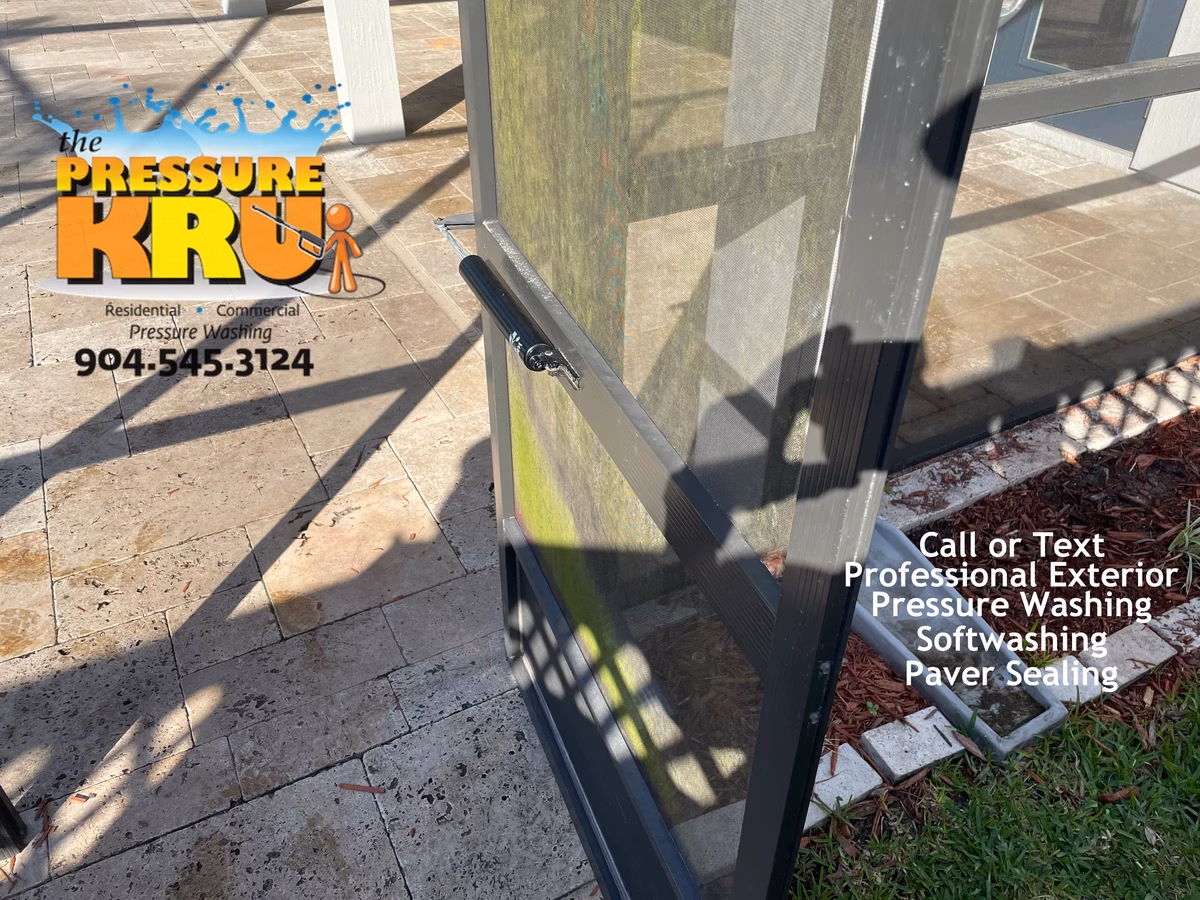 Pool Screen enclosure before professional soft washing in World Golf Village Area.