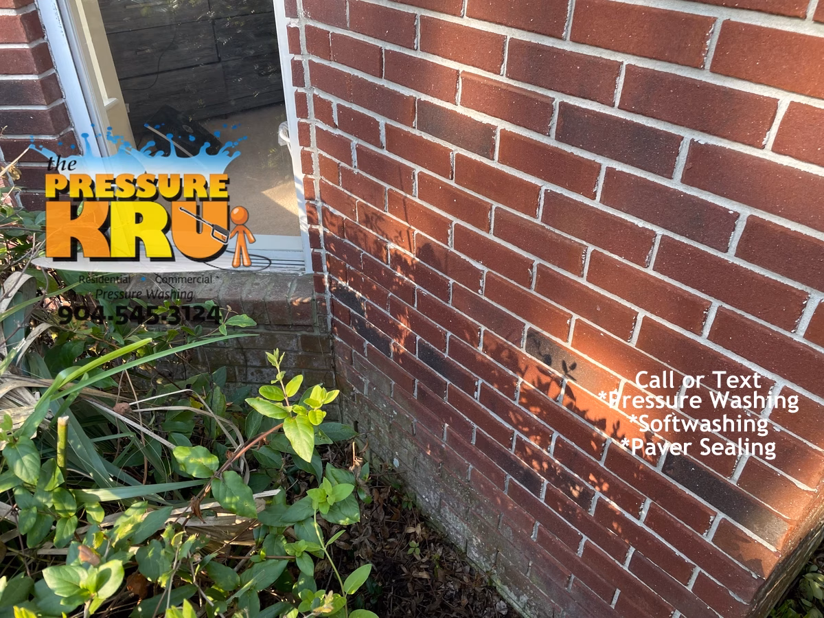 Brick house washing before soft washing in St. Johns FL showing algae and mildew buildup