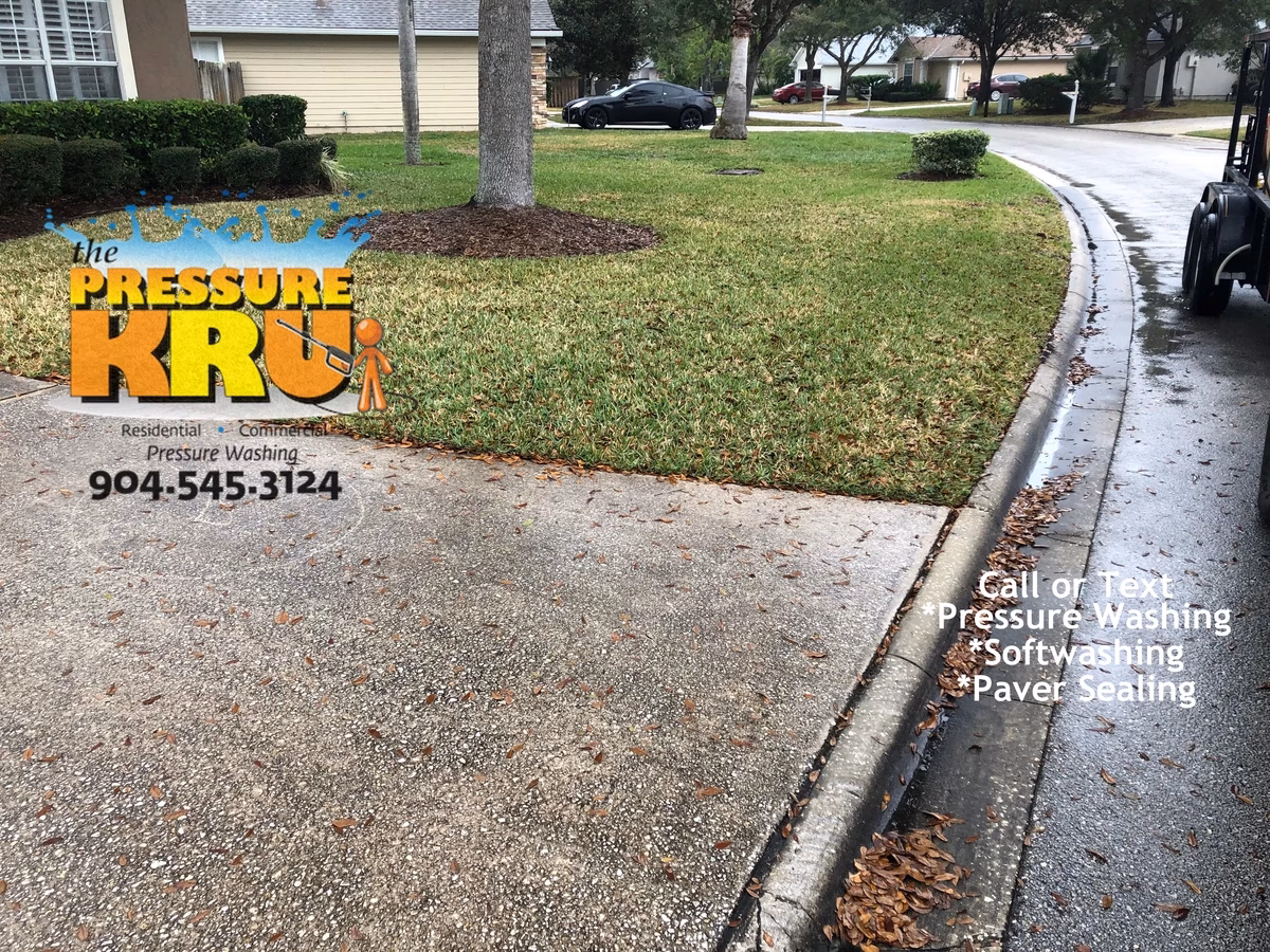 Power washing black mold driveway to remove dirt and grim in St. Augustine, FL 32095. Before picture.