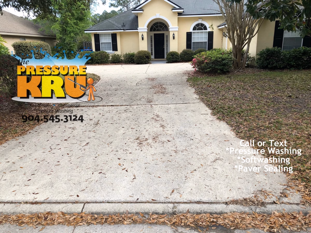 Expert driveway cleaning removing mold with high pressure washer near Jacksonville, FL. Before picture.
