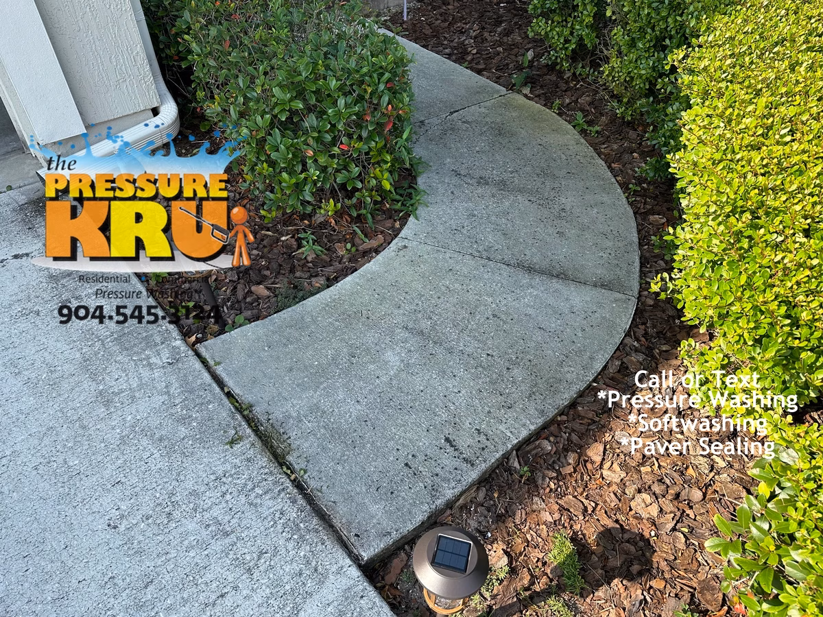Expert stain prevention tips with every cleaning in St. Johns, FL. Before cleaning.