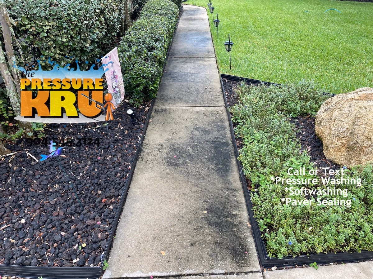 Clean driveway and sidewalk contrasting with fresh lawn and landscaping in St. Johns, FL. Before picture.