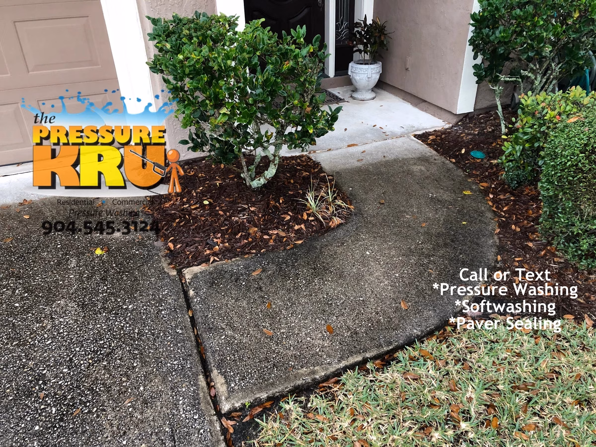 Local pressure washer delivering consistent results in St. Augustine, FL 32092. Before cleaning this constantly damp concrete area.