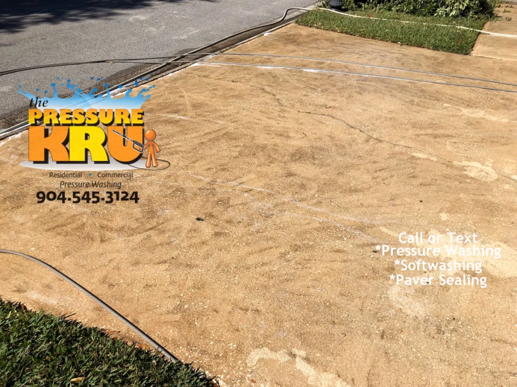 Expert removal of mold, algae, dirt, and grime from driveways and sidewalks in St. Johns, FL. Before picture.