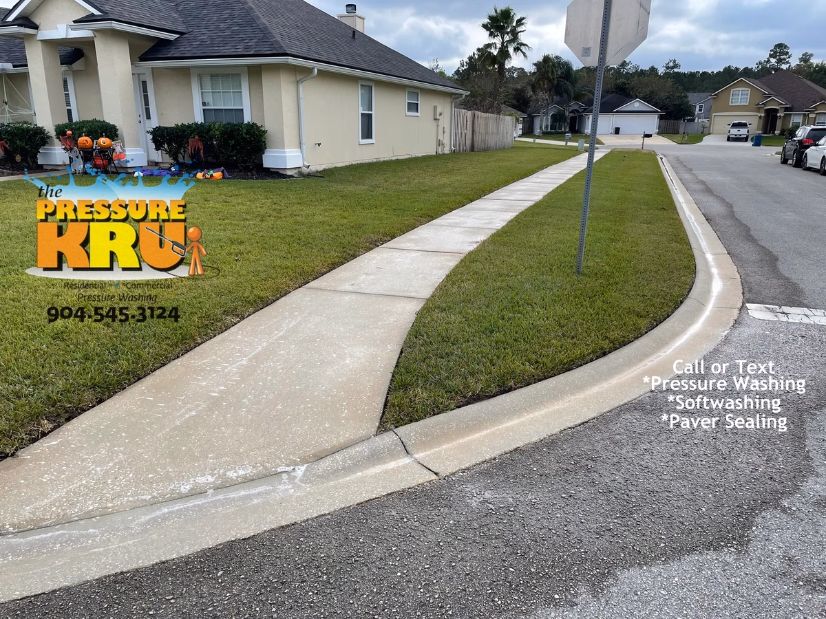 Residential curb cleaning in Durbin Crossing after