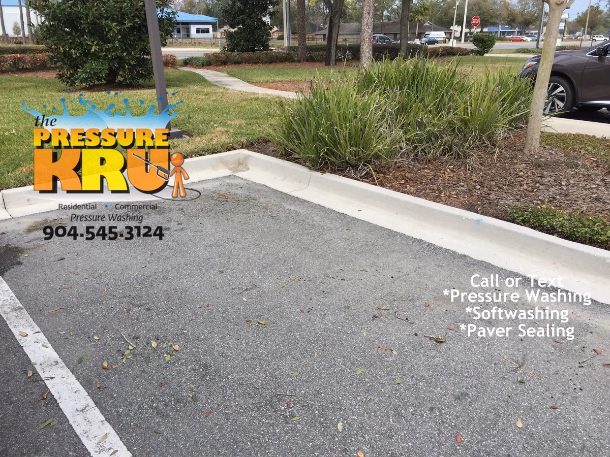 Residential curb cleaning in St. Johns Golf and Country Club after