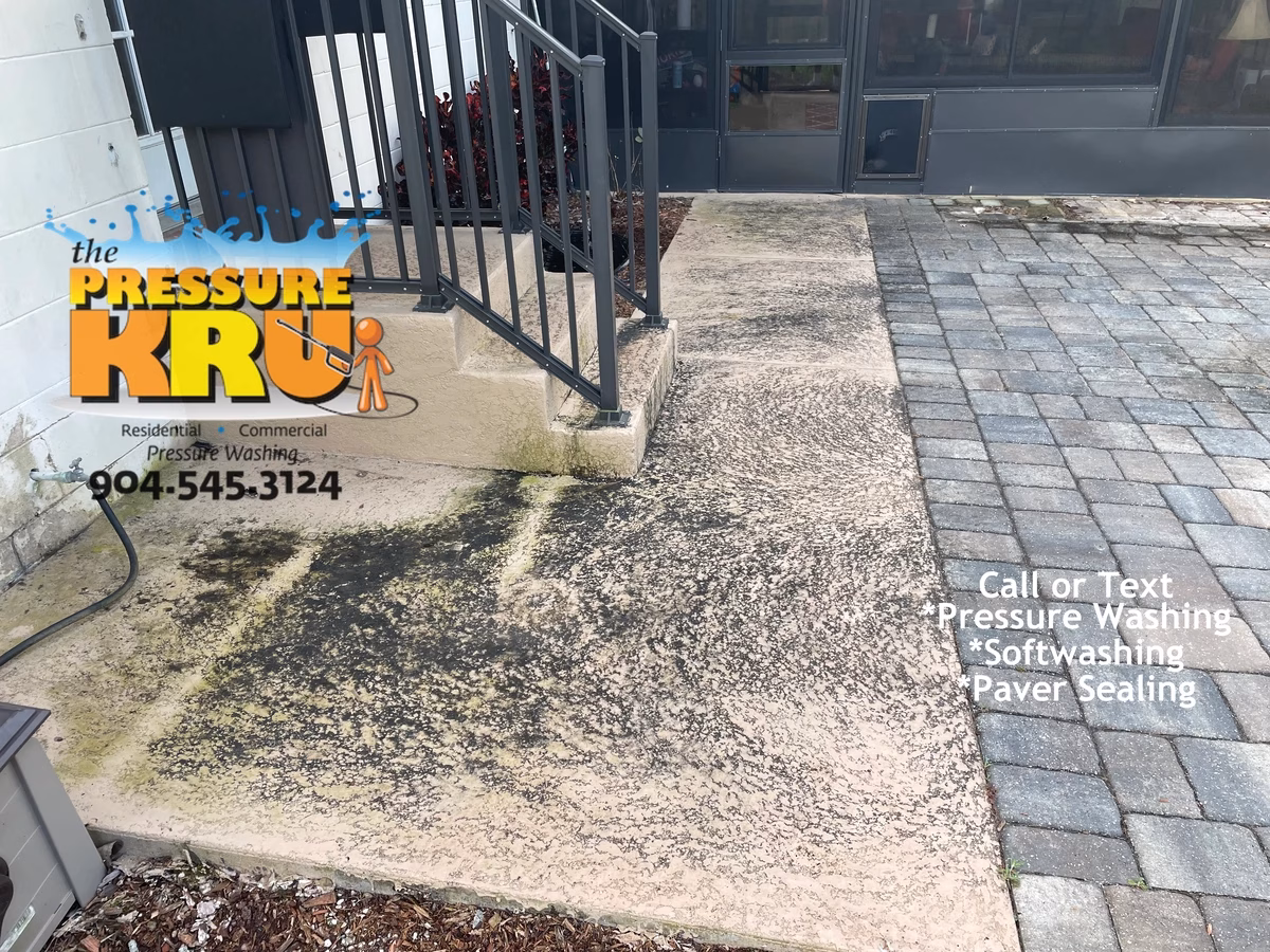 Painted concrete patio cleaning in Deerwood removing algae and mold before