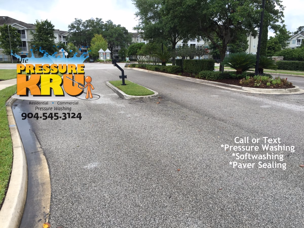Curb cleaning before in St. Augustine, FL