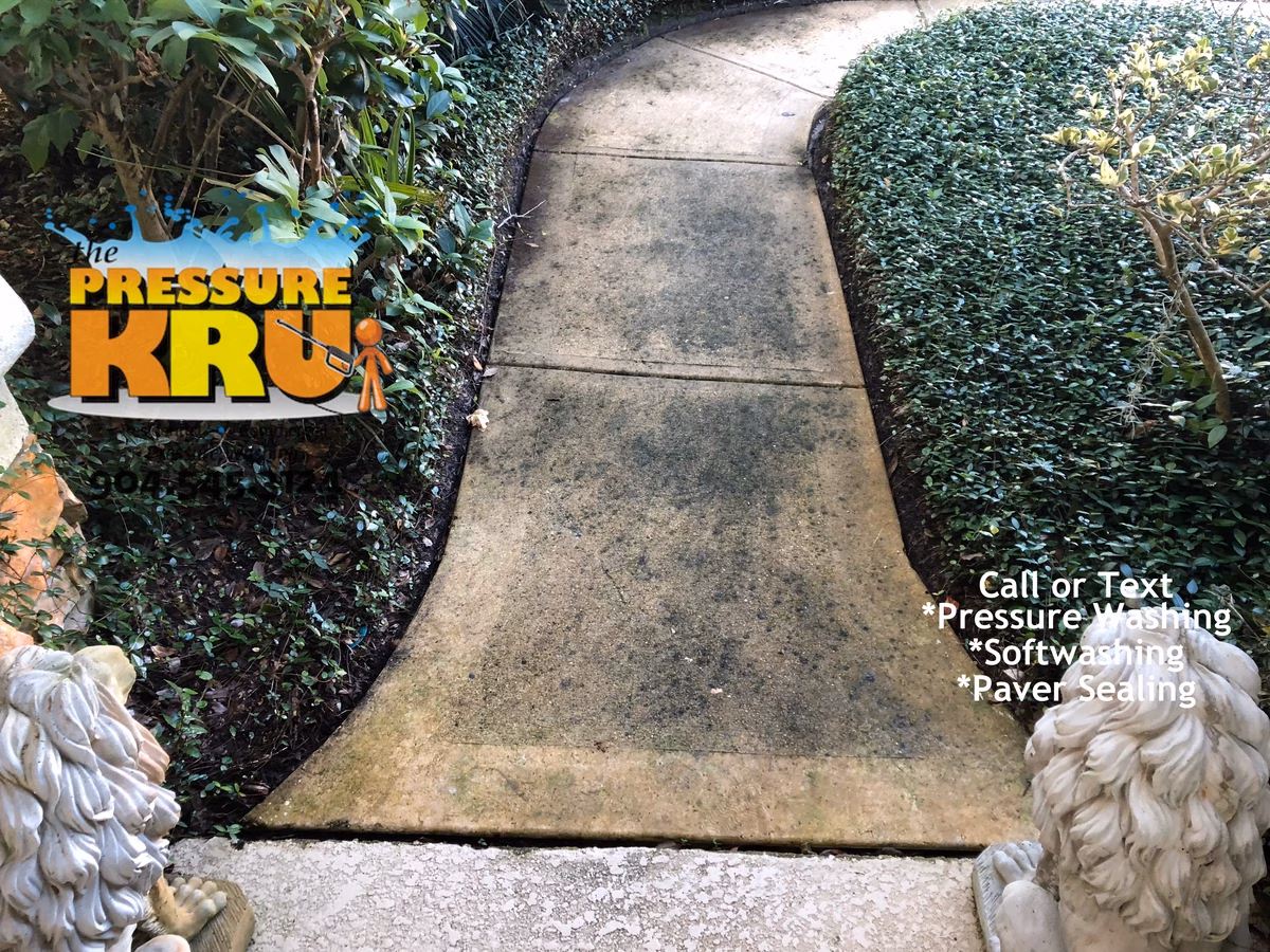 Local expert removing mold from concrete sidewalks and driveways in St. Johns, FL 32259. Before cleaning with soft washing.