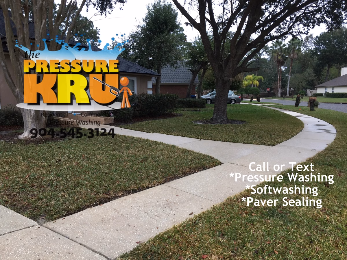 Complete driveway and sidewalk cleaning including borders and expansion joints in St. Augustine, FL 32092. After completing work.