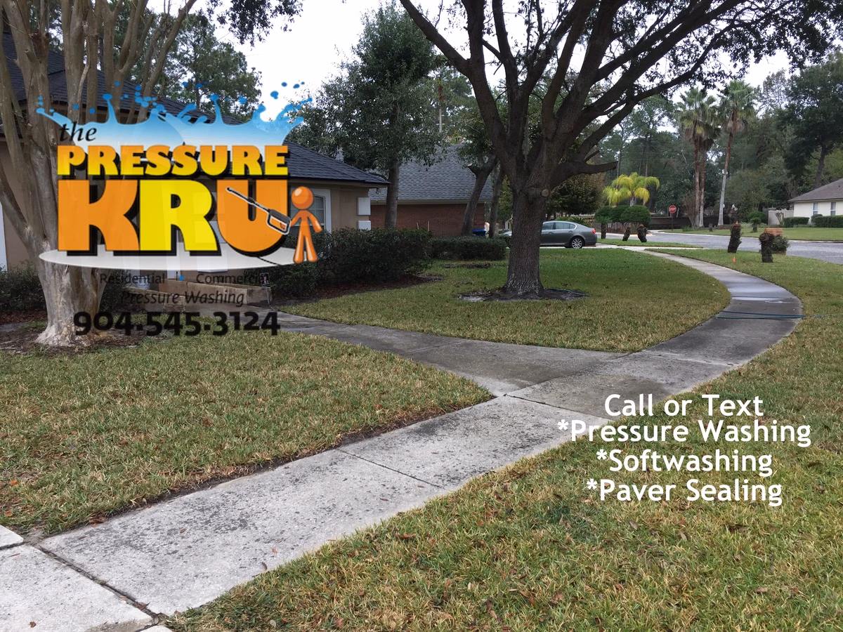 Complete driveway and sidewalk cleaning including borders and expansion joints in St. Augustine, FL 32092. Before starting work.
