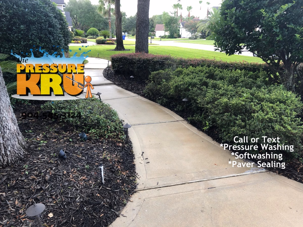 Driveway cleaning service focusing on deep mold and algae removal in St Johns FL. Image shows after slippery algae removal.