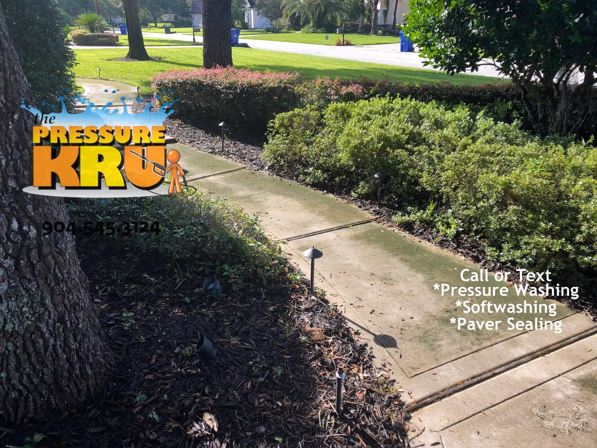 Driveway cleaning service focusing on deep mold and algae removal in St Johns FL. Image shows before slippery algae removal.