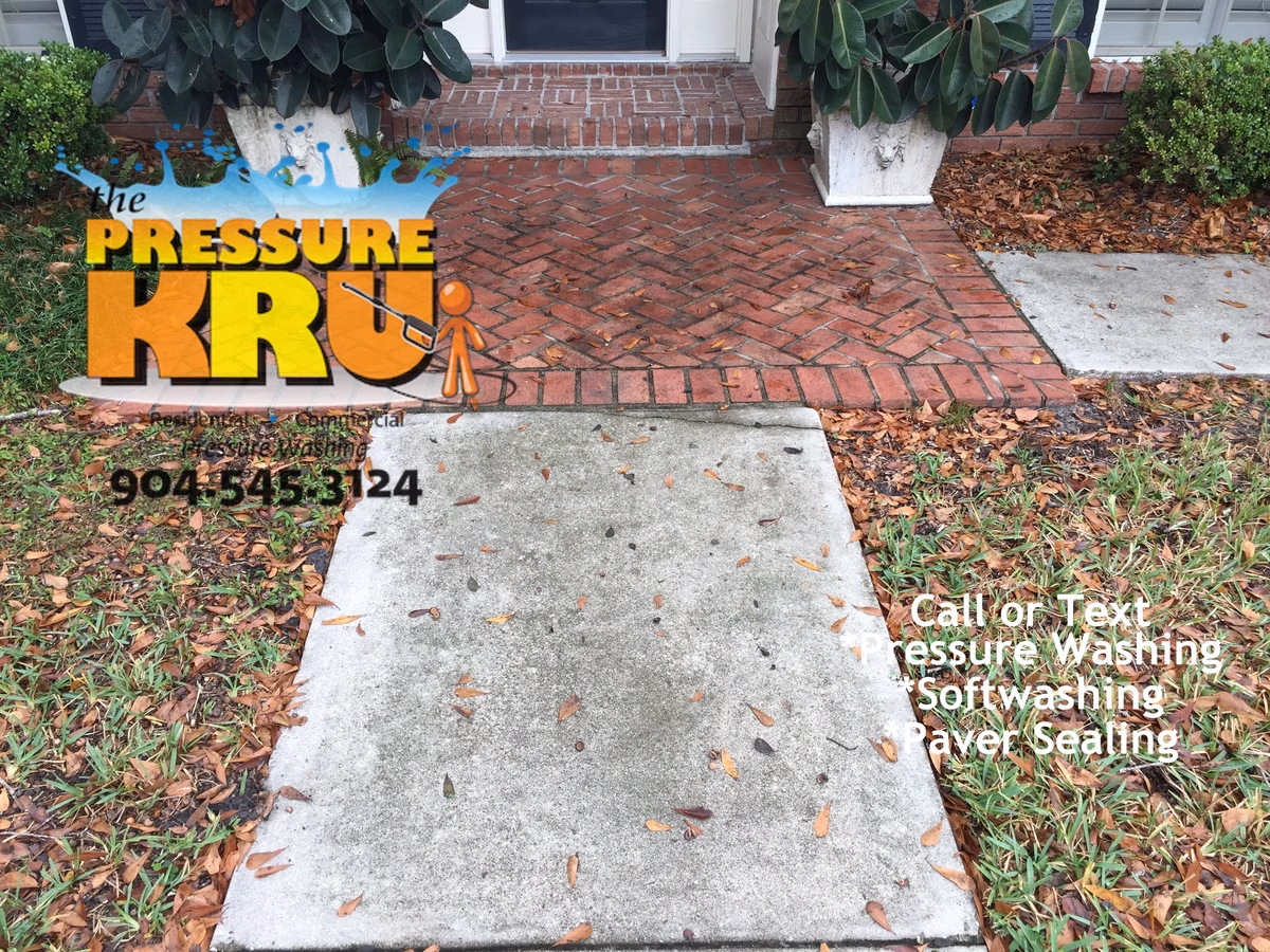 Before and after gallery of local driveway pressure washing projects in St. Johns County. Before soft washing application.
