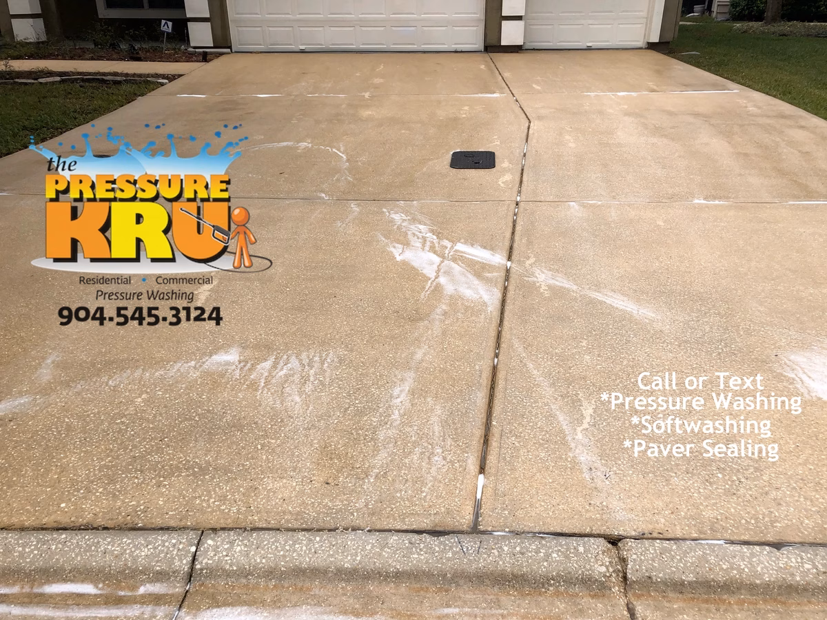 Heavy mold and algae after removal from surfaces with professional equipment in St. Johns, FL