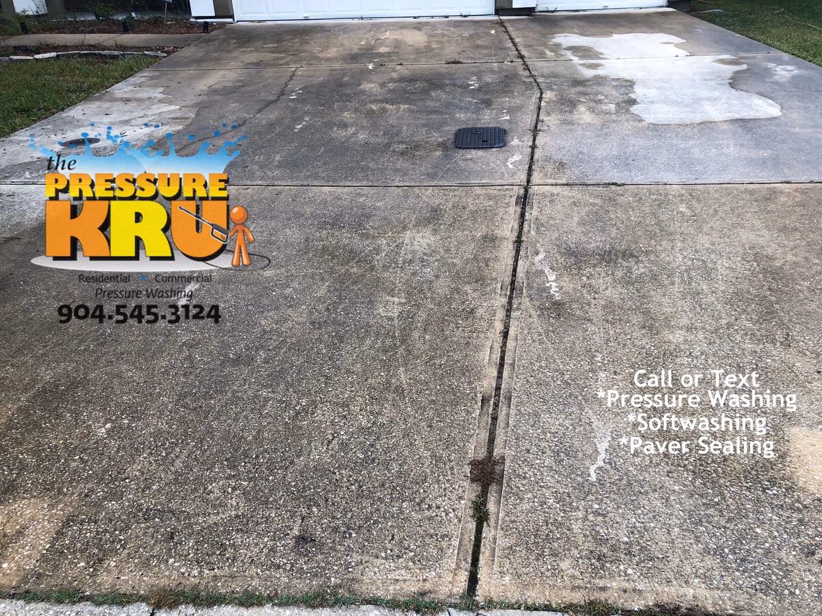 Heavy mold and algae before removal from surfaces with professional equipment in St. Johns, FL