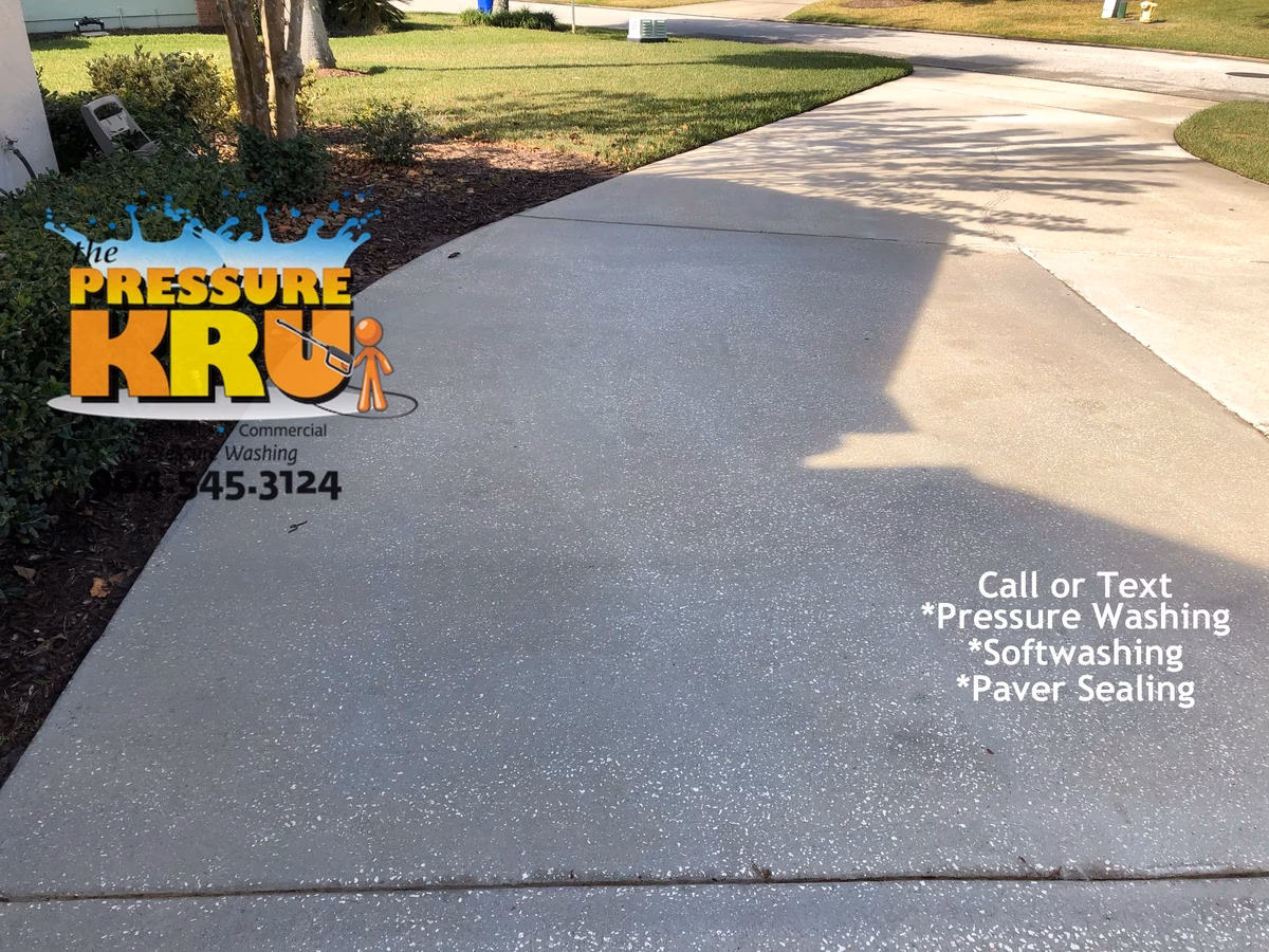 Eco-friendly pressure washing protecting plants while after cleaning driveway in St Johns FL