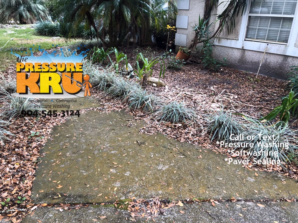Power washing service before removing algae buildup from shaded driveway in St. Johns, FL.