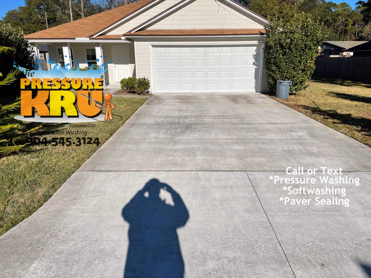 Mold stain removal from driveway using eco-friendly soft washing chemicals in St. Johns, FL. Before cleaning.