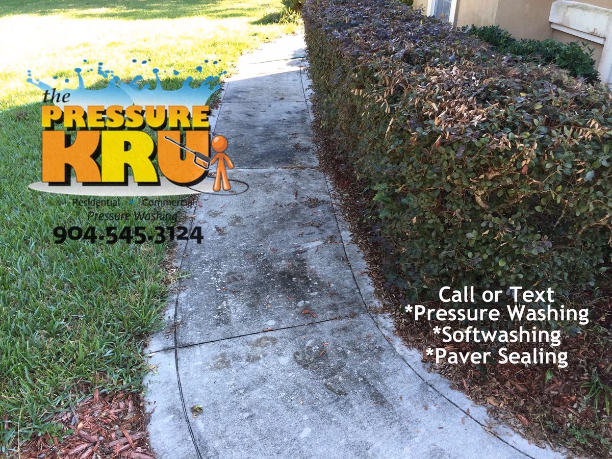 Heavy duty pressure cleaning of stained concrete sidewalk in St. Augustine, FL before.
