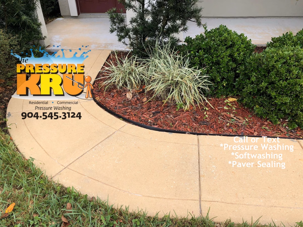 Expert Driveway cleaning after removing mold and dirt with high pressure washer near St. Johns, FL