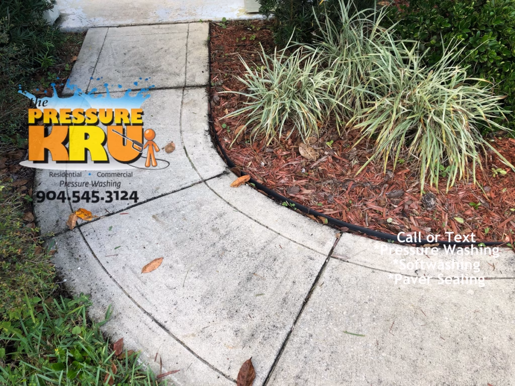 Expert Driveway cleaning before removing mold and dirt with high pressure washer near St. Johns, FL