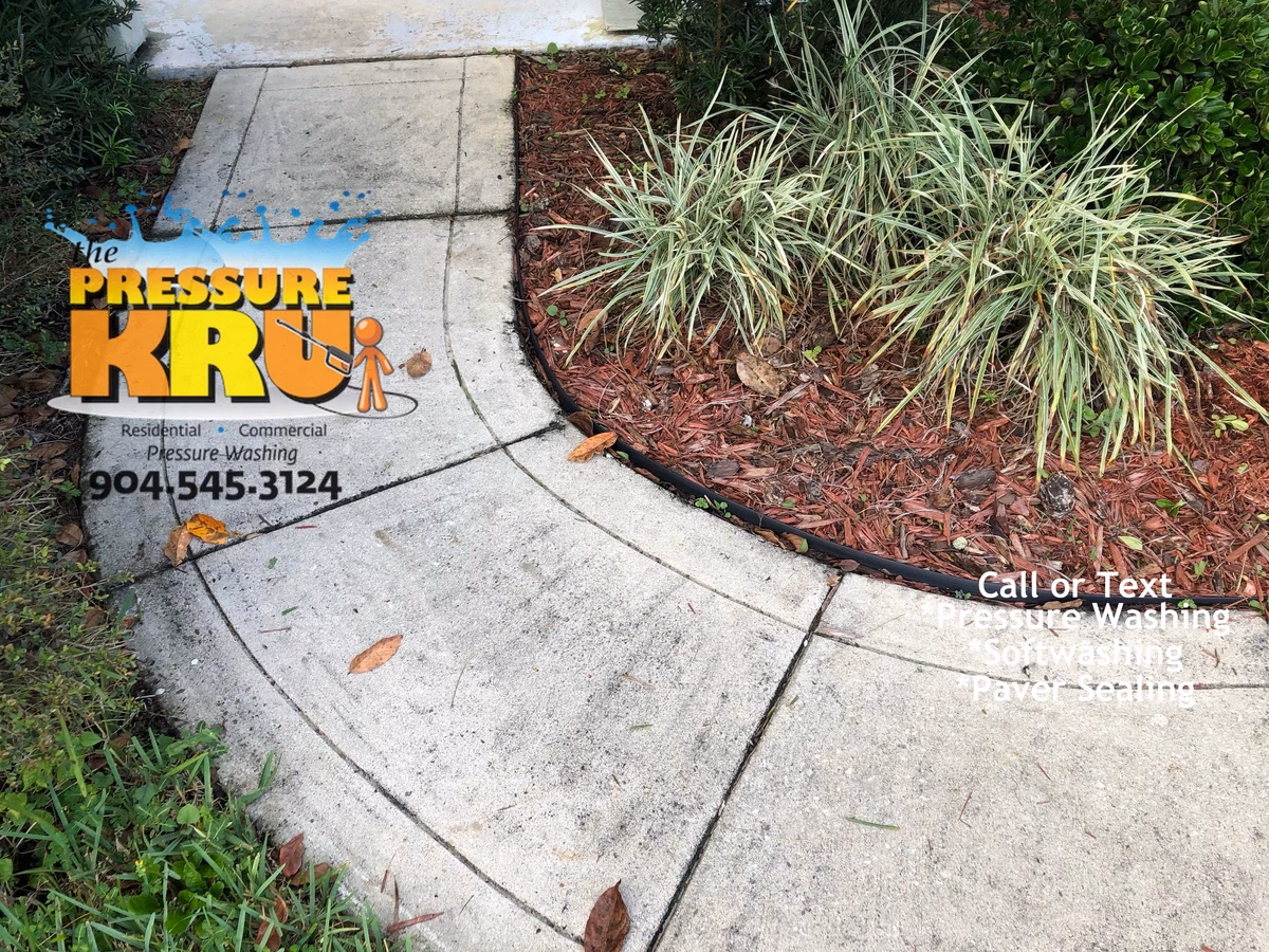 Expert Driveway cleaning before removing mold and dirt with high pressure washer near St. Johns, FL