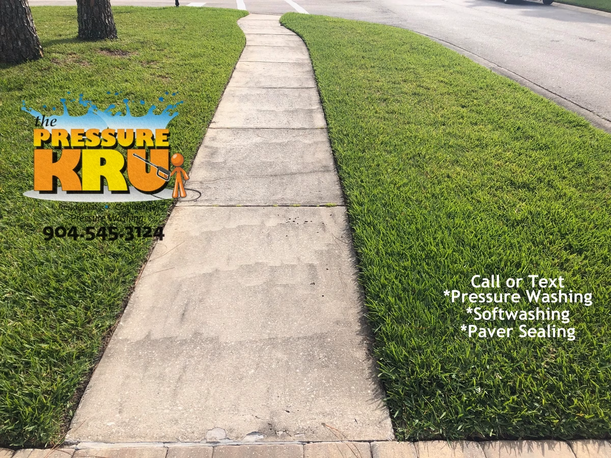 Power washing black mold from tiger striped driveway in Saint Johns, FL before.