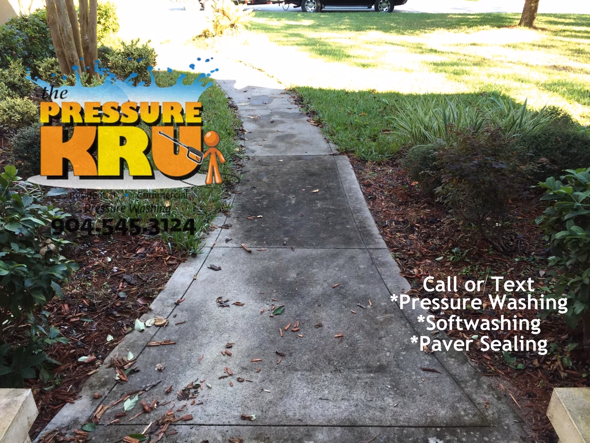 Expert driveway cleaning removing algae stains before high pressure in St. Augustine, FL.