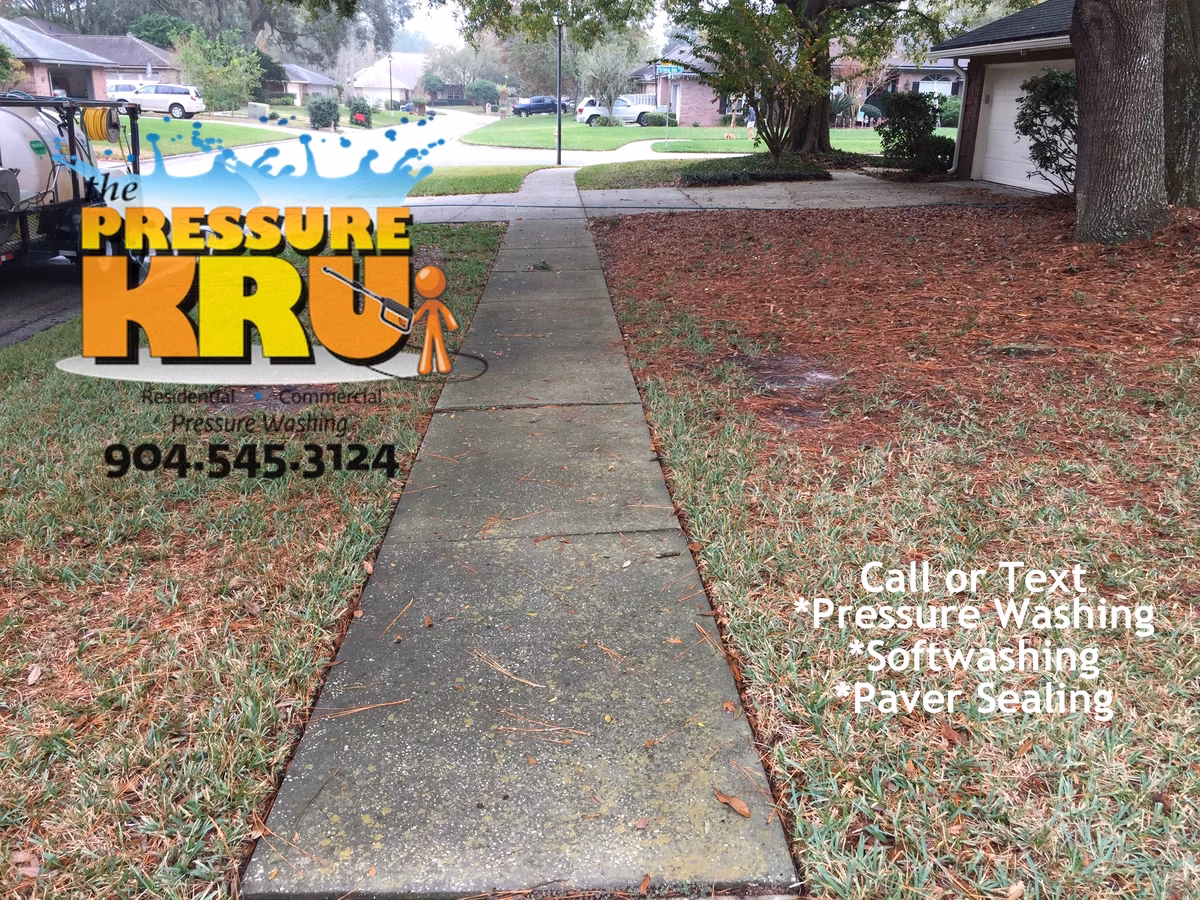 Beautiful clean concrete driveway before expert pressure washing and soft wash chemical cleaning in St. Augustine, FL.