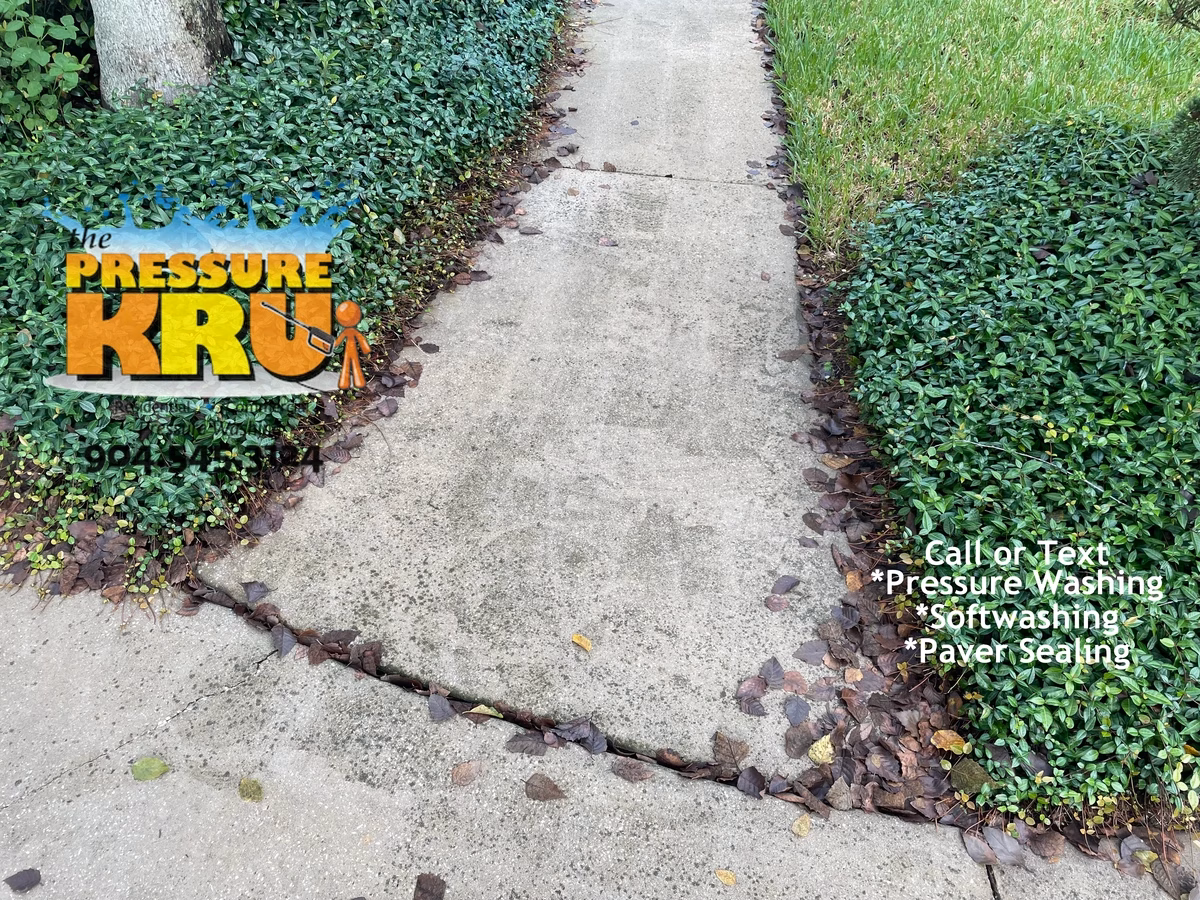 Power washing black mold driveway and sidewalks to remove dirt and grime in St. Johns, FL before picture.