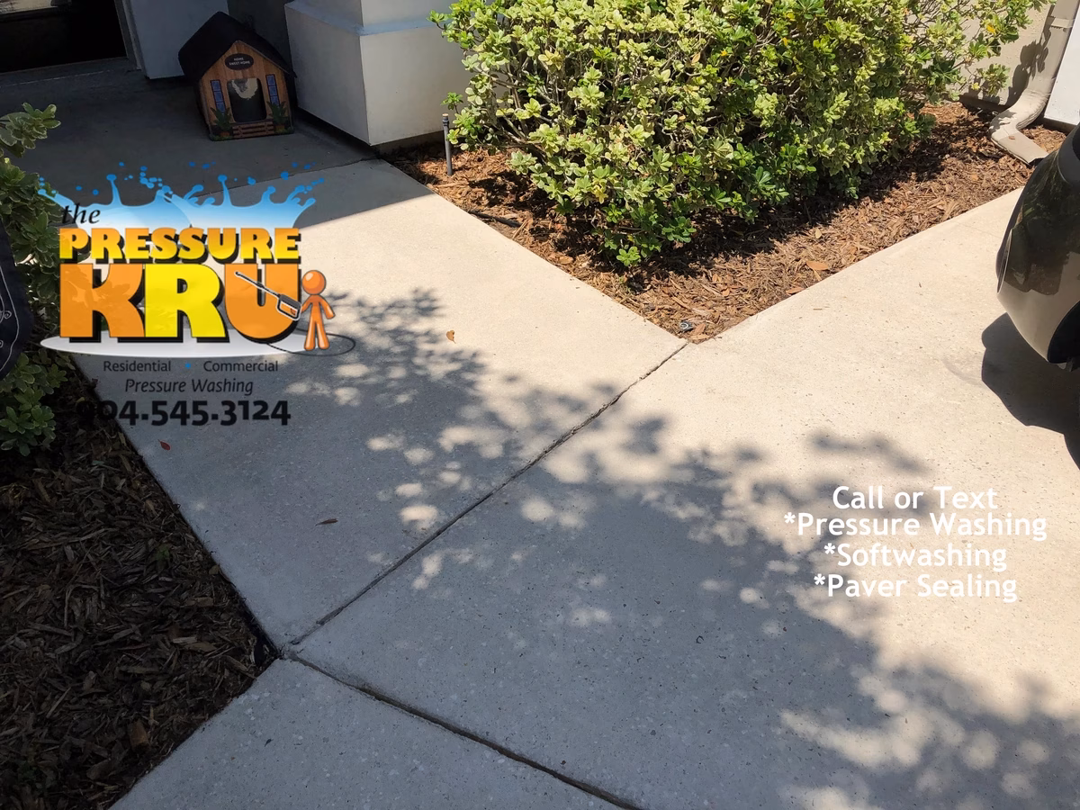 Top-rated driveway cleaning service in St. Augustine, FL after soft washing treatment