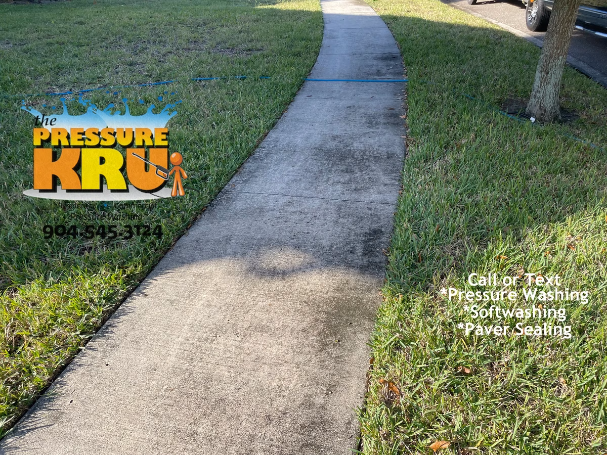 Driveway pressure washing result in St. Augustine, FL 32092. Before cleaning.